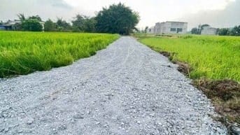 Bán đất Xã Hòa Khánh Đông. Đức Hoà, Long An