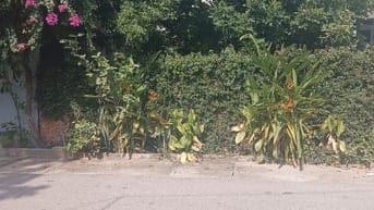 Bán Đất - Đông Bài( Sóc Sơn) - Đường Thông -120M2 Full Thổ Cư -6, 3Tỷ 