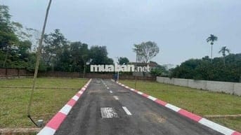 đất nền 100m2 khu trại hồ Cổ đông hoà lạc sẵn sổ, full thổ cư