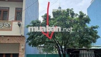 CHÍNH CHỦ BÁN ĐẤT PHÂN LÔ TL 15 ĐẸP NHẤT