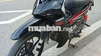 Sirus kiểng biển61