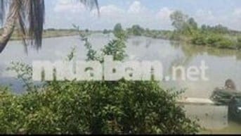 Bán vuông Năm Căn (xã Đất Mới)