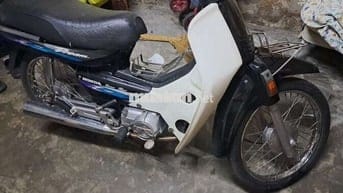 Dream lùn Quận 12