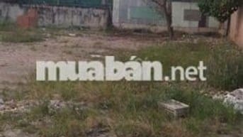 Đất thổ cư Bình Phước – Pháp lý đầy đủ