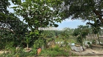 BÁN ĐẤT CẠNH SÂN GOFL SKYLAKE VIEW HỒ 120M