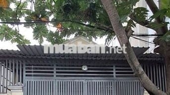 🏡 Cho thuê nhà nguyên căn 5x18m Nguyễn Ảnh Thủ, gần Ngã ba Bầu