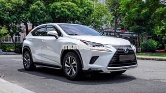 Lexus NX300 2019