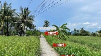 Đất thổ cư 115m² giá 180 triệu cù lao Tân Phú Đông, ô tô vào tận nơi