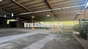 💥BÁN NHÀ XƯỞNG – PHƯỜNG TÂN UYÊN, BÌNH DƯƠNG (Sau sáp nhập TP.HCM)