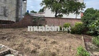 chính chủ cần bán dat đức hiệp , xuân lâm , bắc ninh .