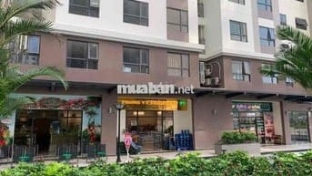 Shophouse 141m2 vừa ở vừa kinh doanh 1 trệt 1 lầu
