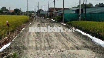 Đất thổ cư, MT đường Ng Thị Tầm, dt 150m2 thổ giá rẻ 550 triêu