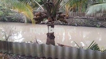 Nhà vườn 4000m2, vềTrung tâm Cần Thơ 30p, đường tỉnh 928, Giá 3.5 tỷ