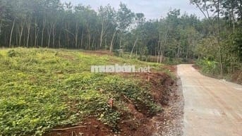 Kẹt tiền cần bán 5 lô sau lưng ủy ban, đối diên KDC Đào Gia Viên