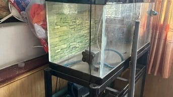 Cho hồ cá cảnh 2 tầng đã qua sử dụng