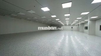 Cho Thuê 1.300m2 Nhà Xưởng Mới Trong KCN Mỹ Phước Bến Cát Bình Dương