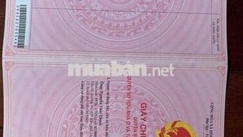 BÁN ĐẤT TRỒNG CÂY CAO SU LÂU NĂM