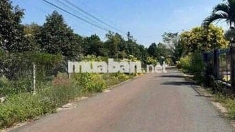 🌼 CÔ TUYẾT NHƯỢNG LẠI LÔ ĐẤT ĐẸP– AI NGHE CŨNG GIẬT MÌNH 🌼