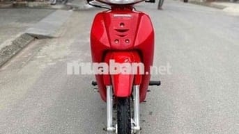 WAVE 100 Nguyên Bản 2005 Chất _ Bảo Hành Dài Hạn✅✅