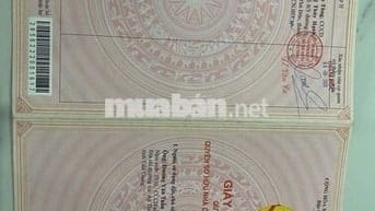 dãy nhà trọ gồm 14 phòng , gác lửng, có bêp, nhà vệ sinh