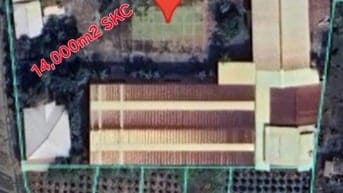  1,45ha đất (14,500m2 đất SKC và xưởng) 2MT 827,Bình Tâm,TP Tân An, LA