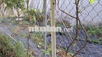 Lai Xá 💥69m💥 10,5 tỷ, phân lô, ô tô tránh