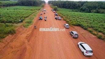 Đất mặt nhựa 32m, cạnh kcn,4200ha, 6 x40, 300m thổ cư giá 600tr