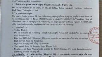 CÔNG TY ĐẤU GIÁ HỢP DANH SỐ 1 QUỐC GIA THÔNG BÁO BÁN ĐẤU GIÁ TÀI SẢN