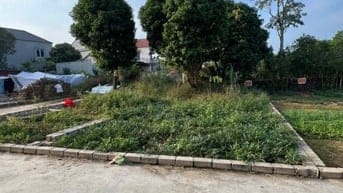 hàng giá rẻ 2,5t cho 1 lô đất 62m2