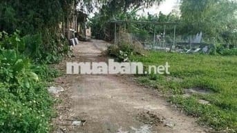 Ban đất Phong Thử, Điện Bàn, Tp Đà Nẵng 520tr thương lượng