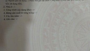 Bán Đất Thổ Cư ấp Đông Trung, Xã Tân Chánh, Cần Đước, Cách HL 24 50m