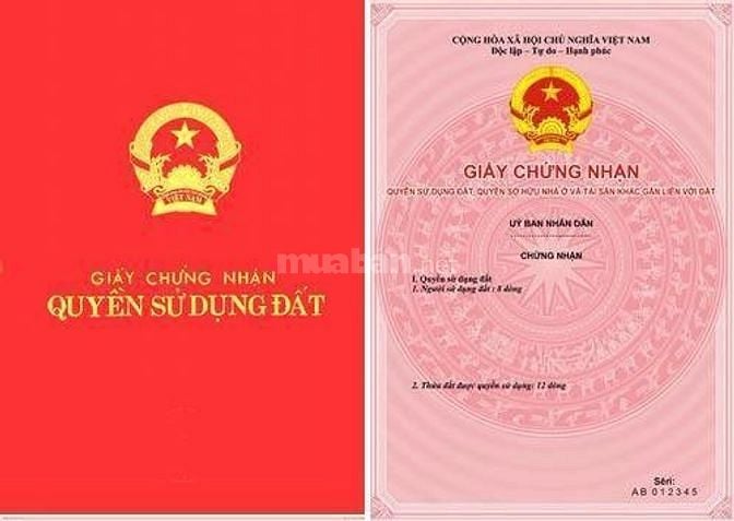 Luật sư tư vấn, tranh tụng, bảo vệ, bào chữa, đại diện các vụ khó