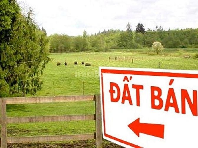 Chính chủ bán nhà mới xây, đường nhựa 10m, Ngay cầu Rạch Tra, Củ Chi