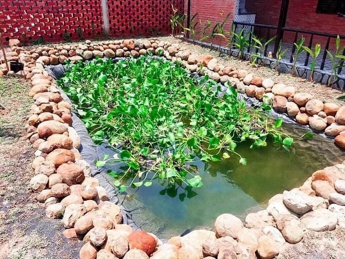 Garden House Bà Rịa Vũng Tàu. Ký ức tuổi thơ, an yên tìm về