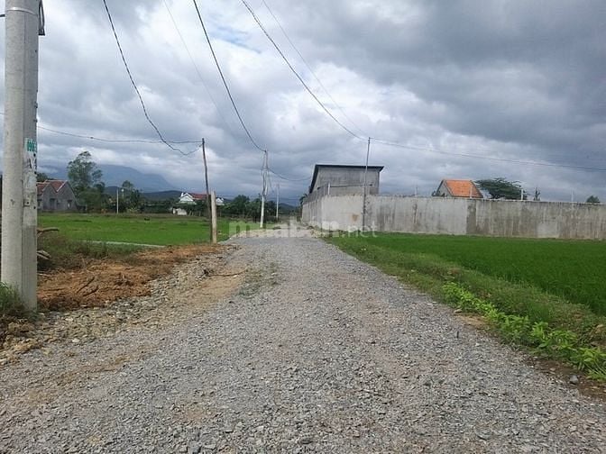 Bán 549m2 đất Cây lâu năm nằm ngay gần uỷ ban xã Ninh Trung