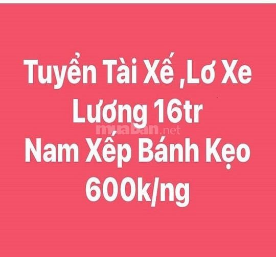 Tuyển 20 Lái xe Tài xế + 30 Lơ xe Phụ kho Bốc xếp hàng