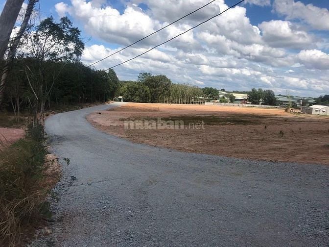 Lộc Ninh đất nền giá mềm sổ sẵn thổ cư 100m