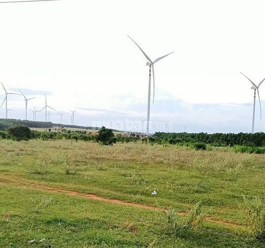 Bán đất vườn sổ đỏ, mặt tiền đường liên xã Bình Thuận, tặng 6 chỉ