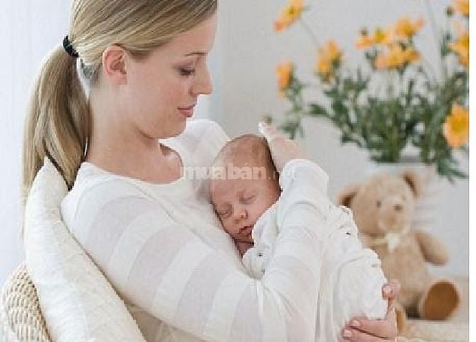 Cần người giúp việc nhà làm về hay ở lại đều được