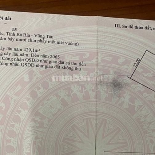 Cần tiền bán rẻ đất đẹp trung tâm Xuyên Mộc