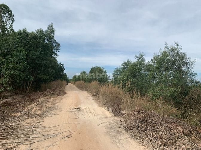 270m mặt tiền Kênh thủy lợi Tân Bình - Thị Xã Lagi gần biển