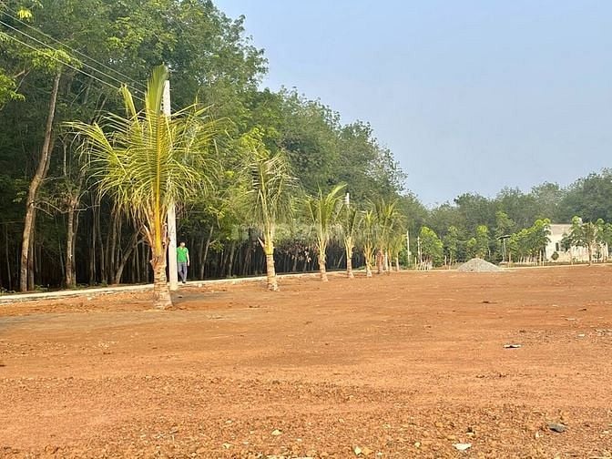 Cần Bán Lô Đất Sổ Đỏ Diện Tích 280m2. Tài Chính Chỉ Cần 350Tr