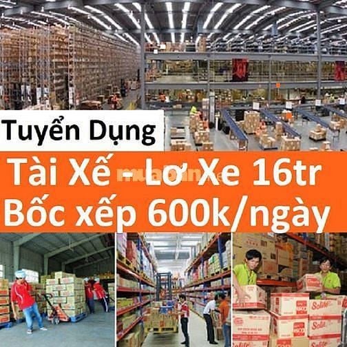 Tuyển>>LDPT Phụ Xe Giao Hàng - Nam Xếp Kho 600k/ngày Tại Đồng Tháp