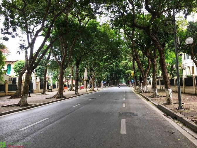 Mảnh đất vàng cần bán gấp phố Cầu Diễn – Bắc Từ Liêm, 100m2, 4 tỷ, ô t