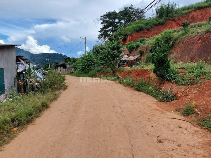 Cần bán đất Phường 10 – Đà lạt – Lâm Đồng