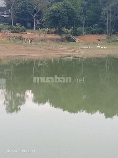 Quá đẹp 1000m thổ cư view hồ nhỏ xinh Lạc Sơn Hoà Bình