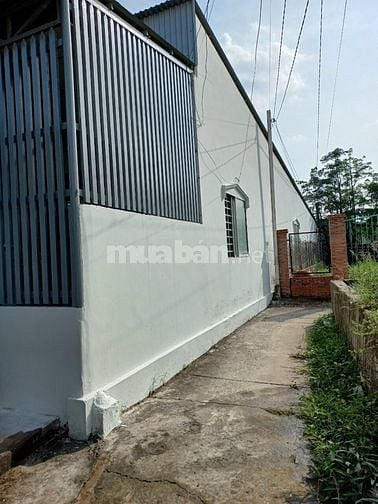 Nhà Đối Diện Khu Hành Chính Long Hồ