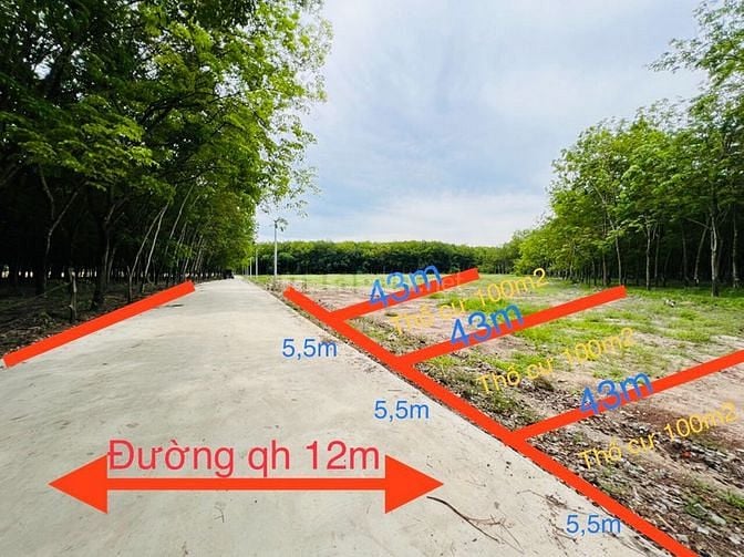 Cần bán gấp lô đất gần TTHC Hớn Quản, giá rẻ, SHR, NH hỗ trợ 50%