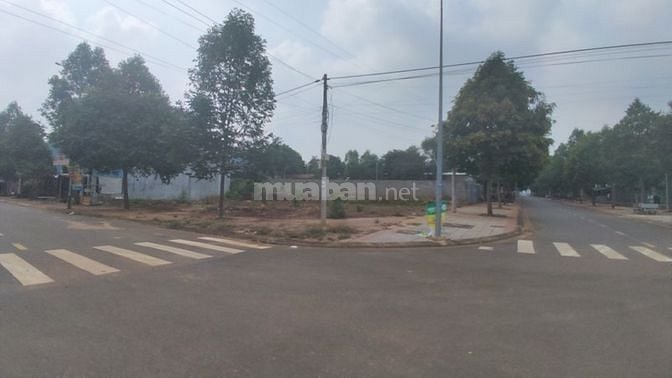 Đất trung tâm Hắc Dịch 100m2 chỉ 2.2Ty SHR giá F0