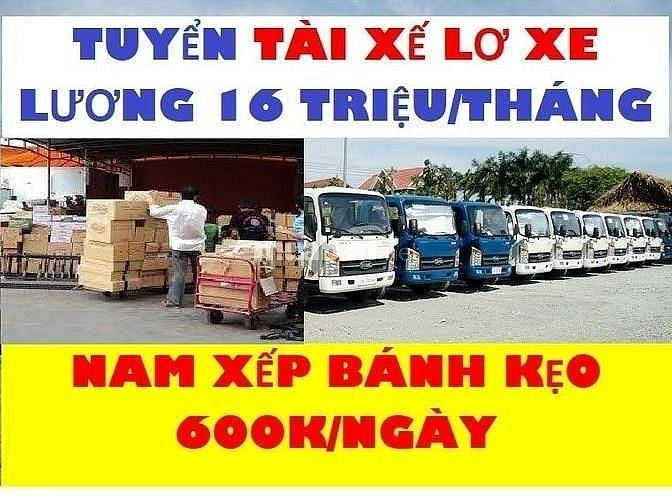 Việc Làm Tài Xế Lơ Xe, Nam Xếp Kho 16tr/tháng Tại Bạc Liêu